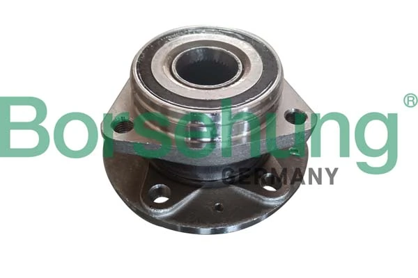 B19118 Borsehung