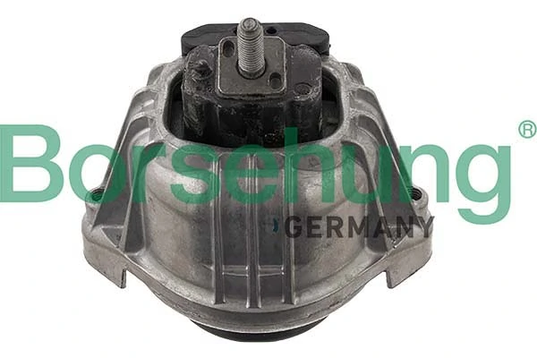 B12641 Borsehung