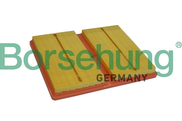 B10528 Borsehung