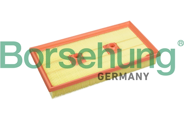 B10542 Borsehung