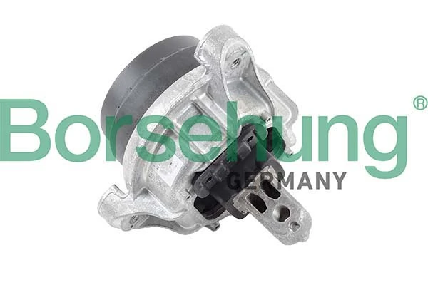 B12605 Borsehung