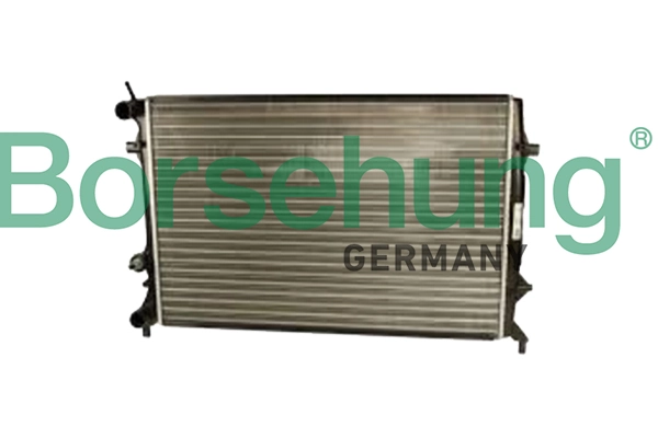 B18839 Borsehung