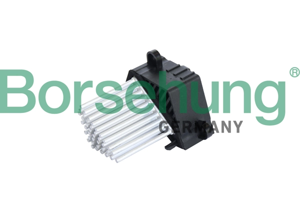 B12226 Borsehung