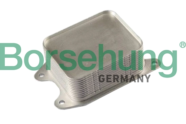 B10878 Borsehung