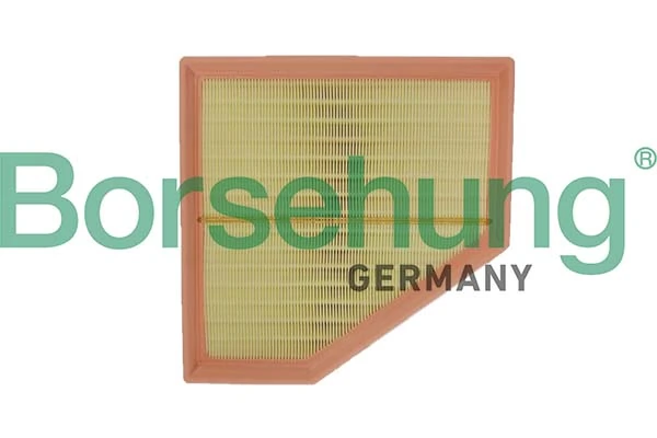 B12695 Borsehung