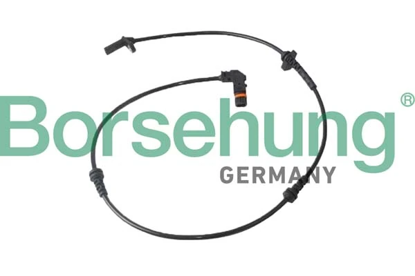 B12250 Borsehung