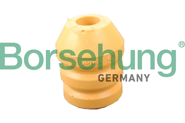 B10004 Borsehung