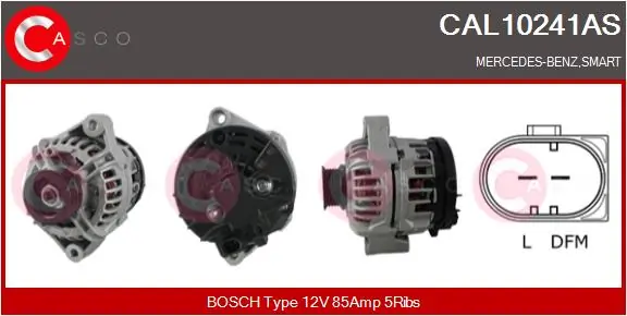 CAL10241AS Casco