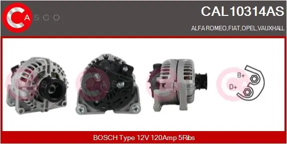 CAL10314AS Casco