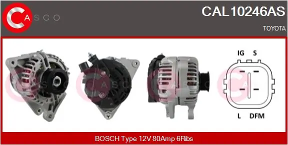 CAL10246AS Casco