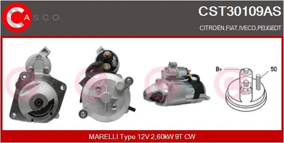 CST30109AS Casco