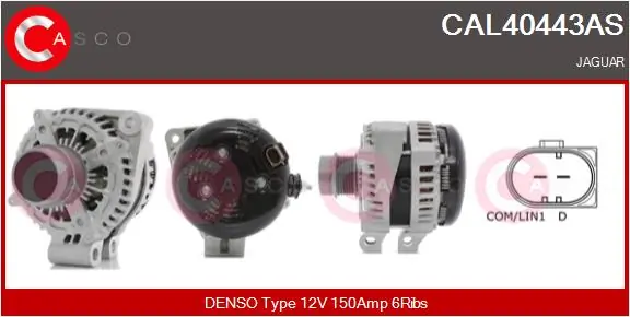 CAL40443AS Casco