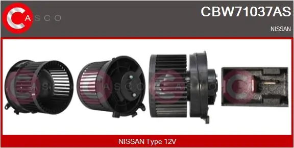 CBW71037AS Casco