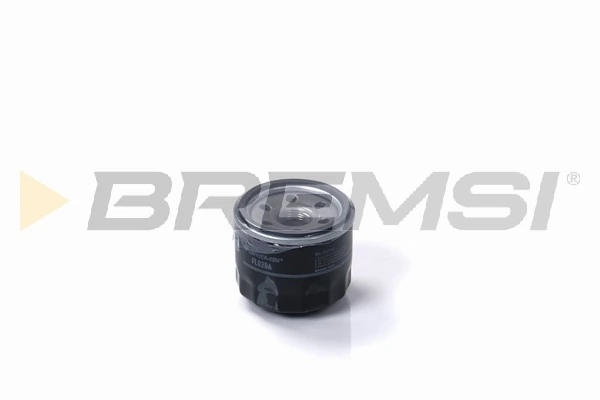 FL0286 Bremsi