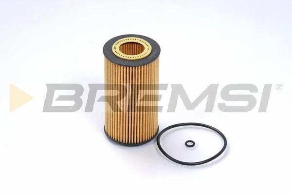 FL0261 Bremsi