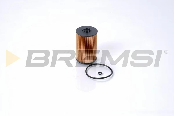FL0021 Bremsi