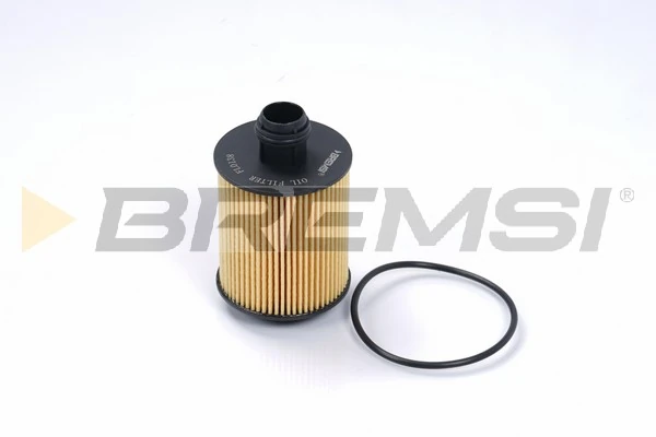 FL0138 Bremsi