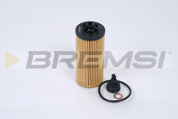 FL0293 Bremsi