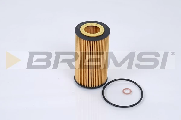 FL0691 Bremsi