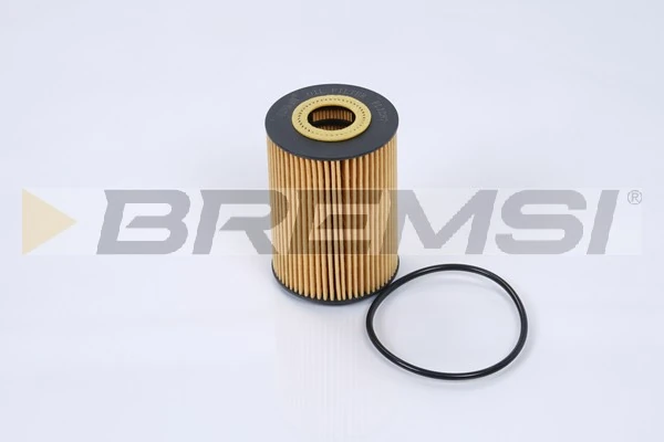 FL1287 Bremsi