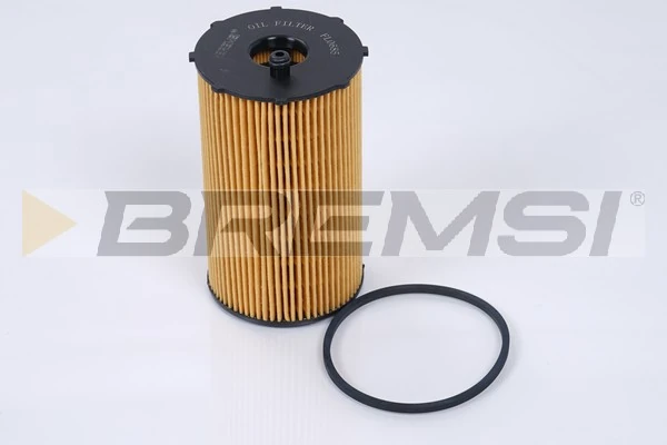 FL0685 Bremsi