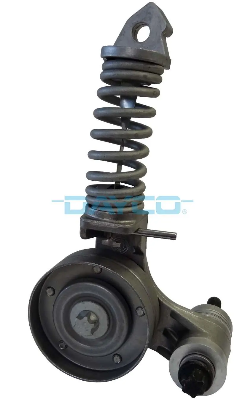 APV2247 Dayco