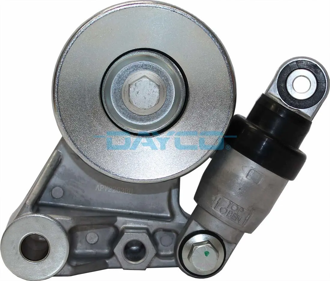 APV2263 Dayco