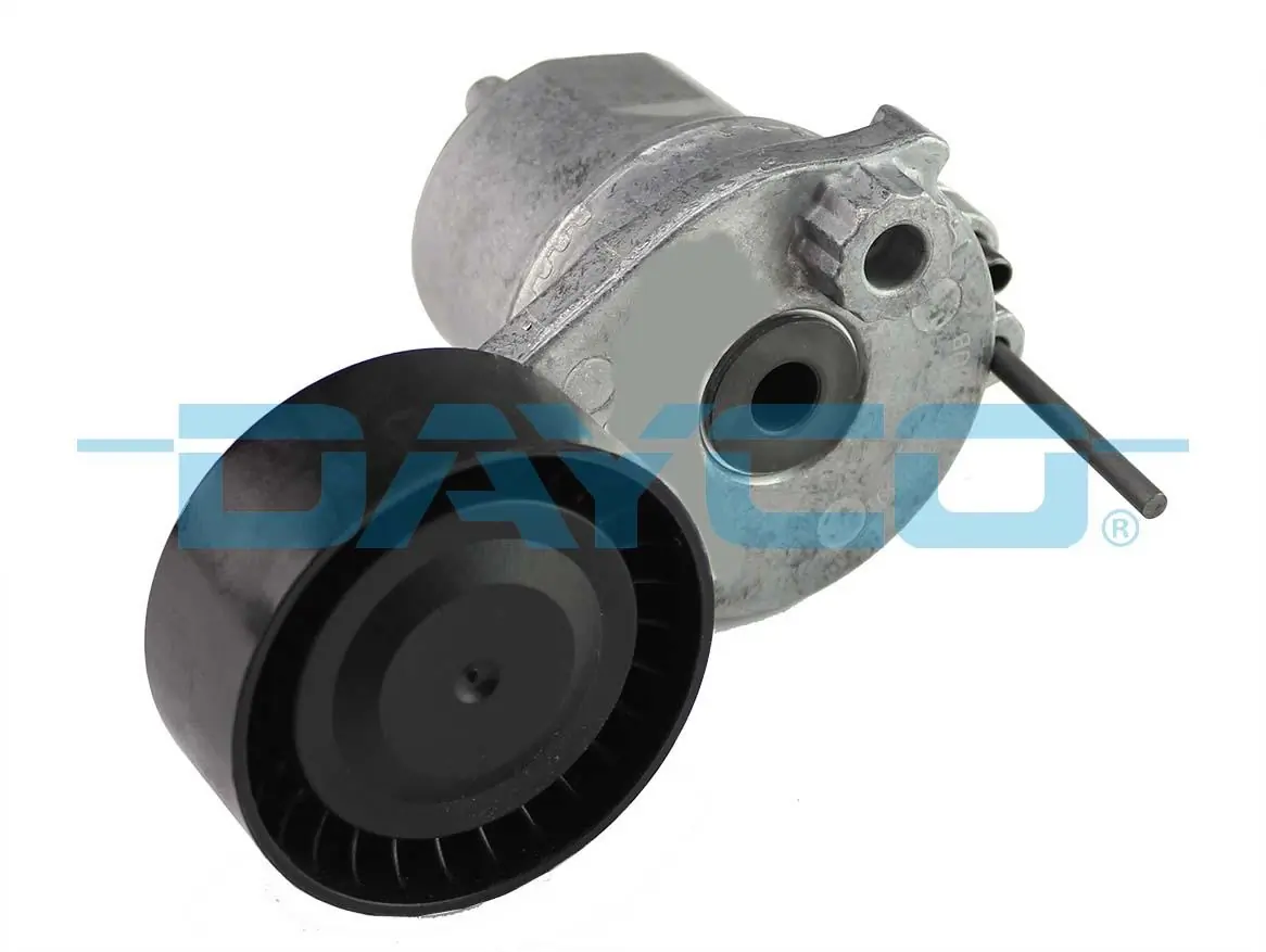 APV4176 Dayco