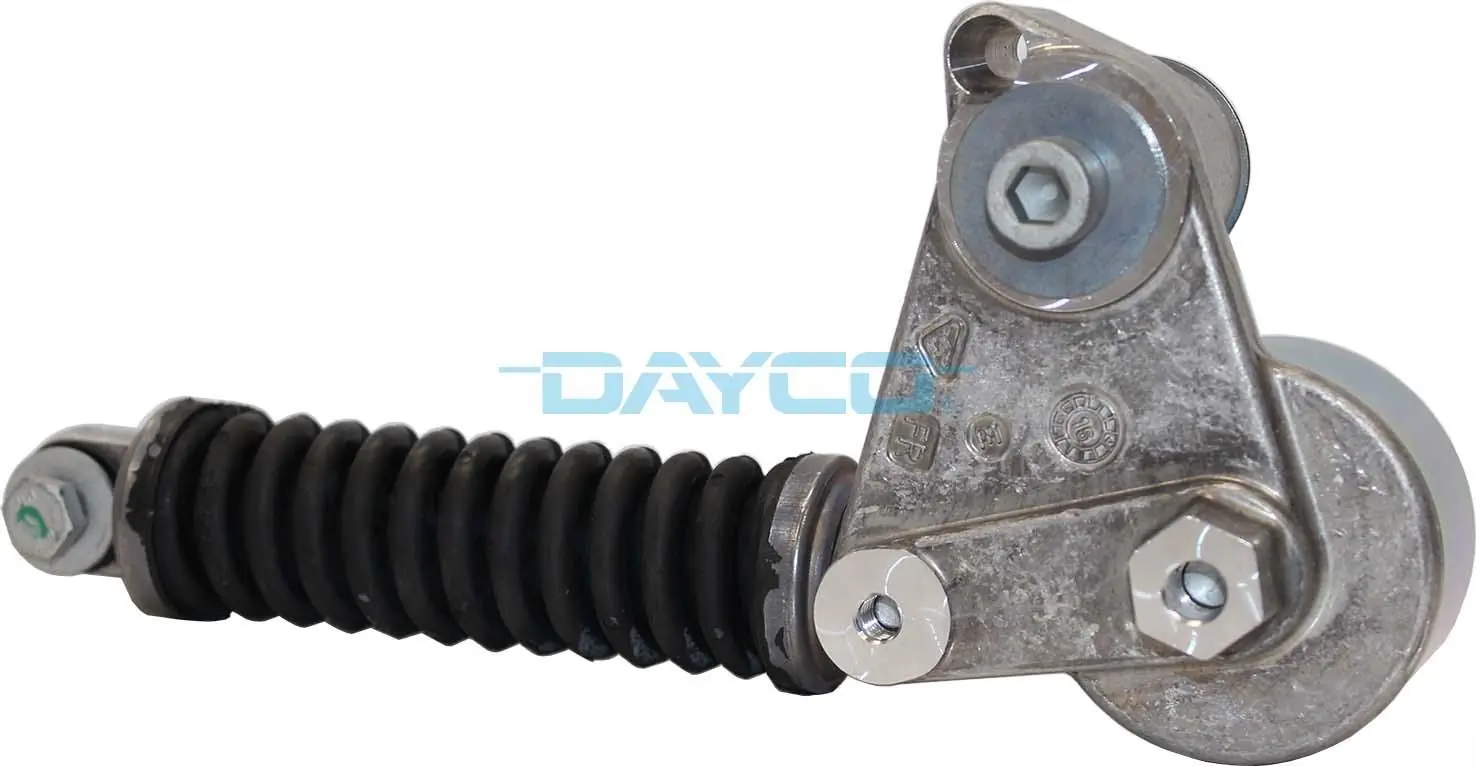 APV3193 Dayco