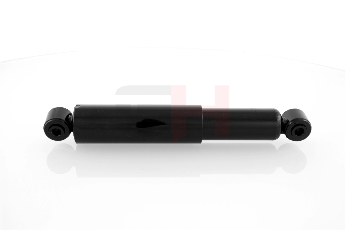 GH309319 GH