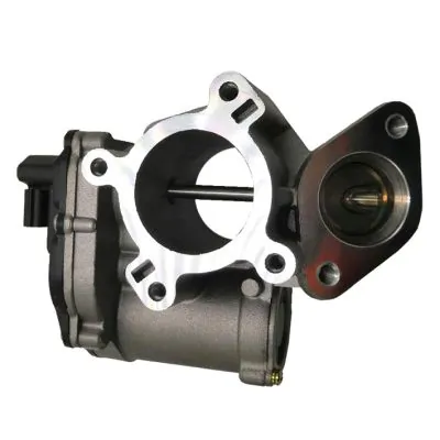 GI2005 Gauss
