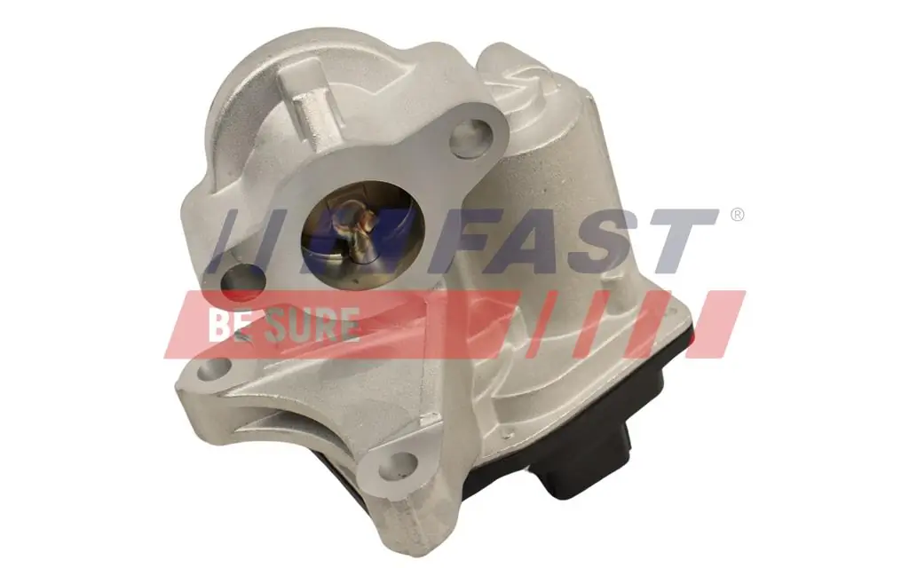 Do koszyka 95524139 General Motors Zawór recyrkulacji spalin EGR