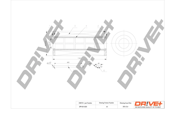 DP1110110121 Dr!ve+