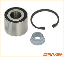 DP2010100216 Dr!ve+