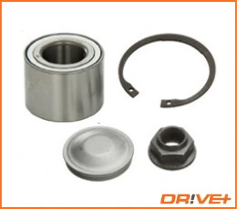 DP2010100190 Dr!ve+