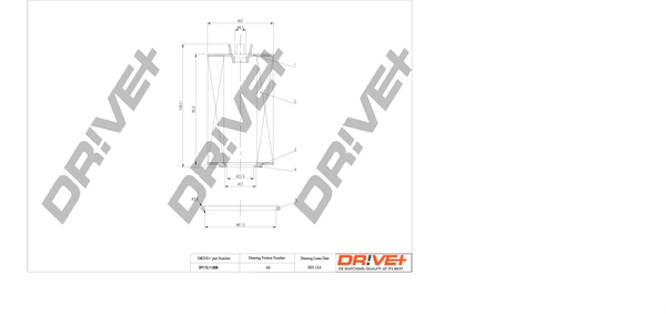 DP1110110098 Dr!ve+