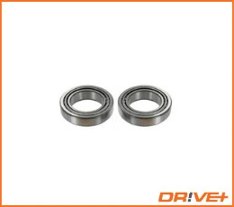 DP2010100620 Dr!ve+