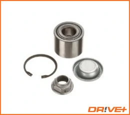 DP2010100323 Dr!ve+