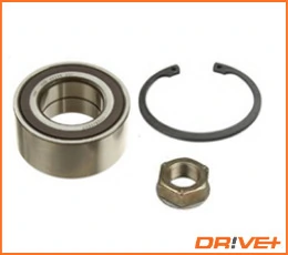 DP2010100316 Dr!ve+