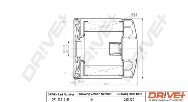 DP1110110166 Dr!ve+
