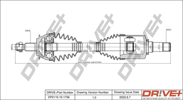 DP2110101736 Dr!ve+