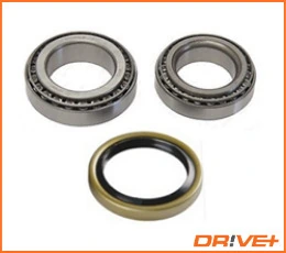 DP2010100276 Dr!ve+