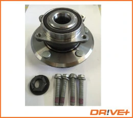 DP2010100295 Dr!ve+