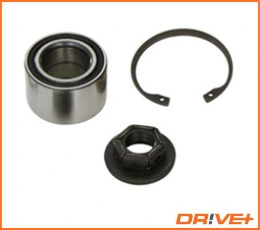 DP2010100223 Dr!ve+