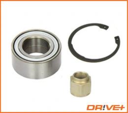 DP2010100114 Dr!ve+