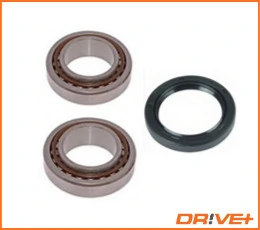 DP2010100194 Dr!ve+