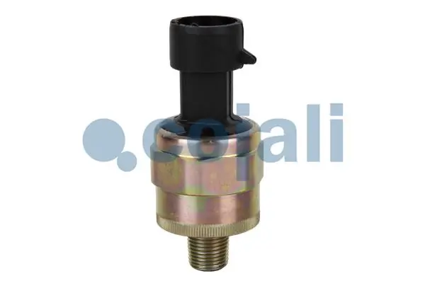 2260261 Cojali