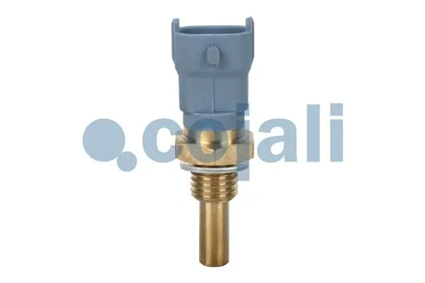 2260409 Cojali