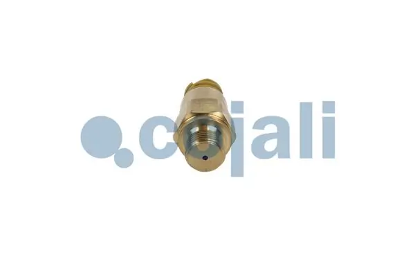 Czujnik ciśnienia paliwa MAN TGL 1