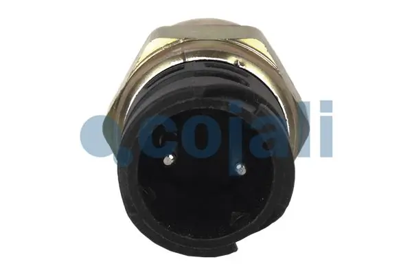 Czujnik włączania światła cofania DAF 95